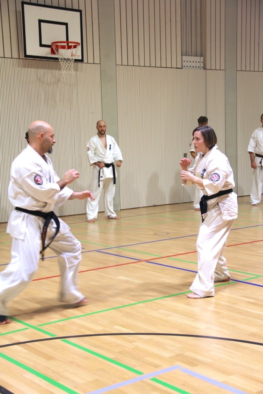 img_3882-eed3a9f9753b533be972cb033b5dcef8