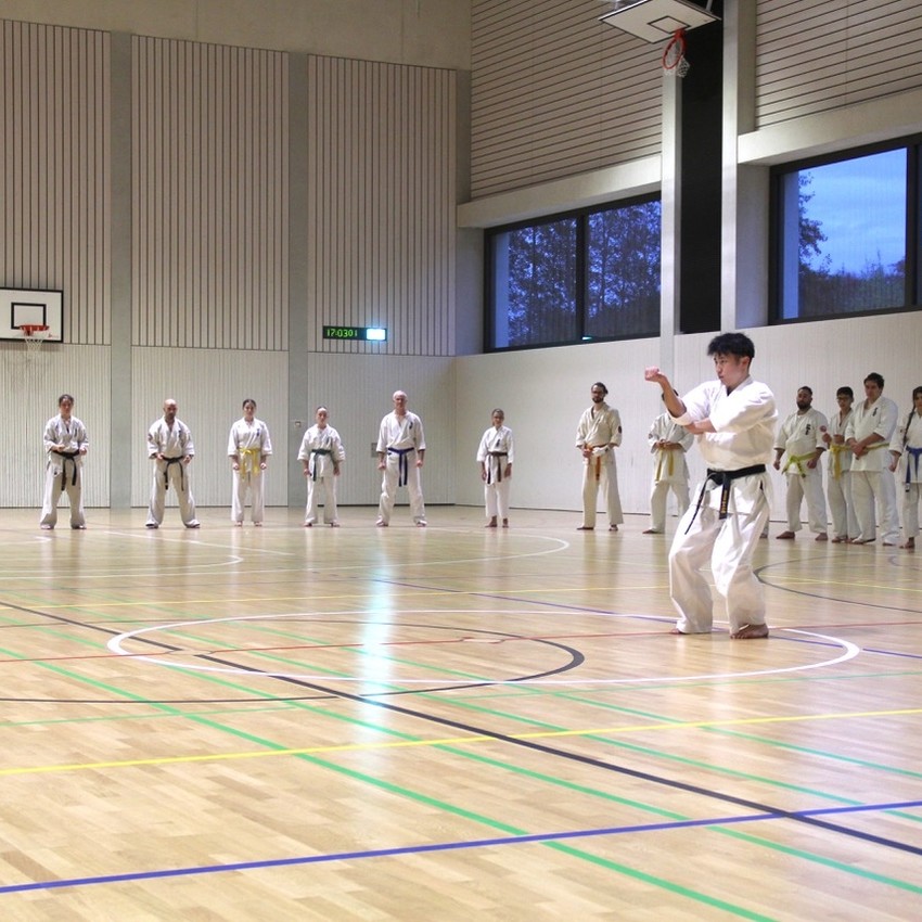 img_3913-8ed1eeb07e84a5ec91c58077e92666ec