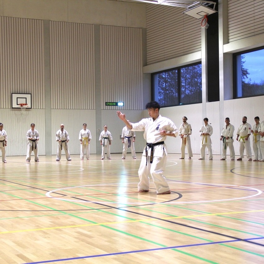 img_3917-cd5c73de1476aadc1db02c0fc3ee9640