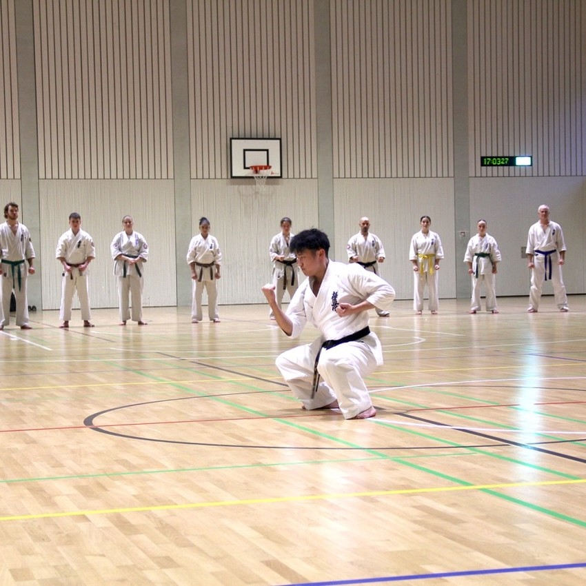 img_3921-48088f9662b4c572efa18fd9e63fdd0f