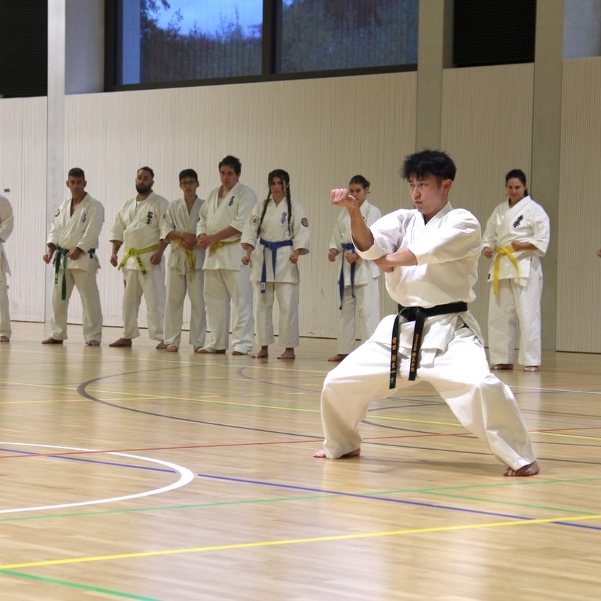 img_3935-bd92826b04cd731cace43bda9bdeb2dd