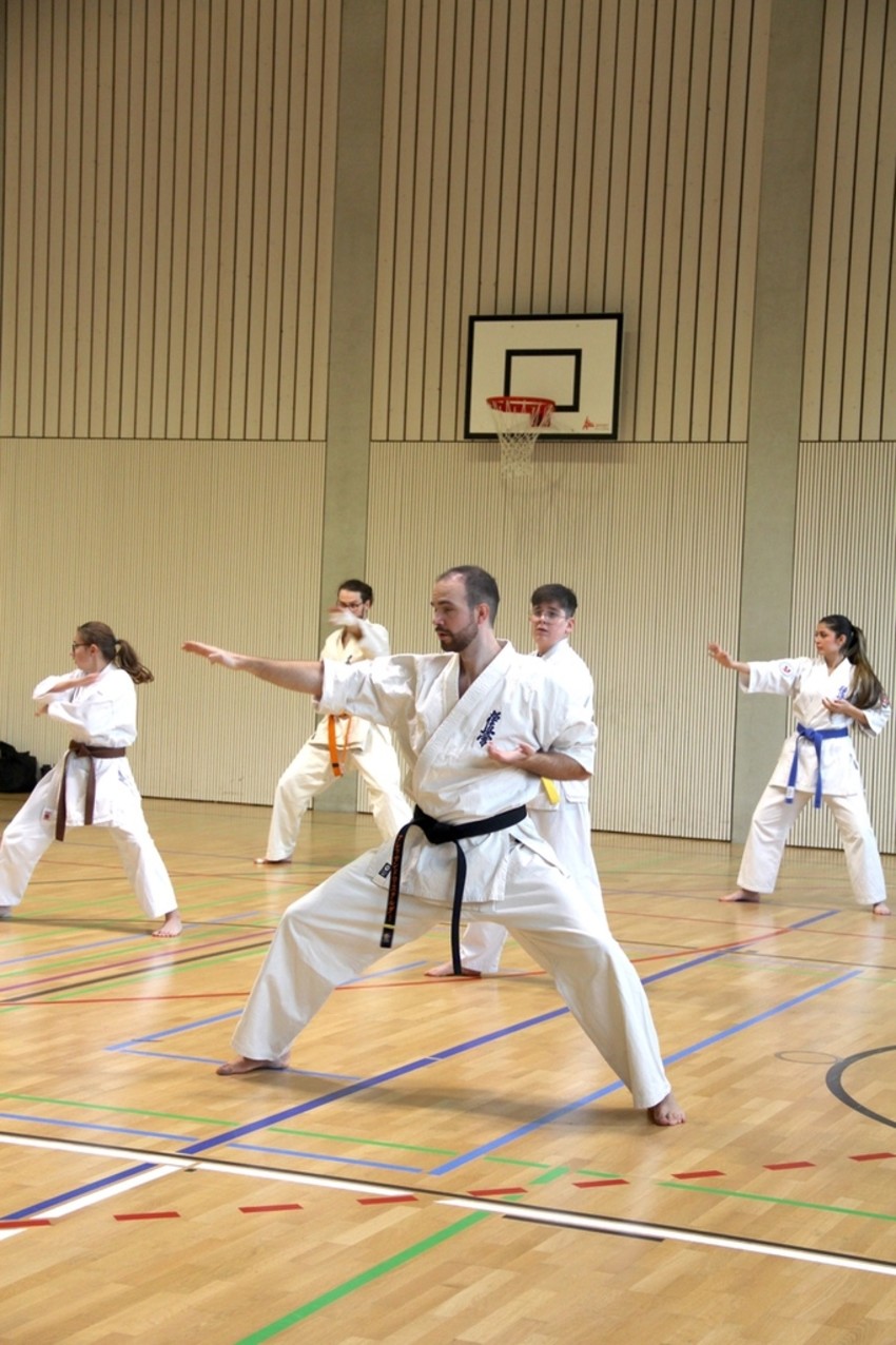 img_3992-bafa34e36a217f97981d35662f786eca