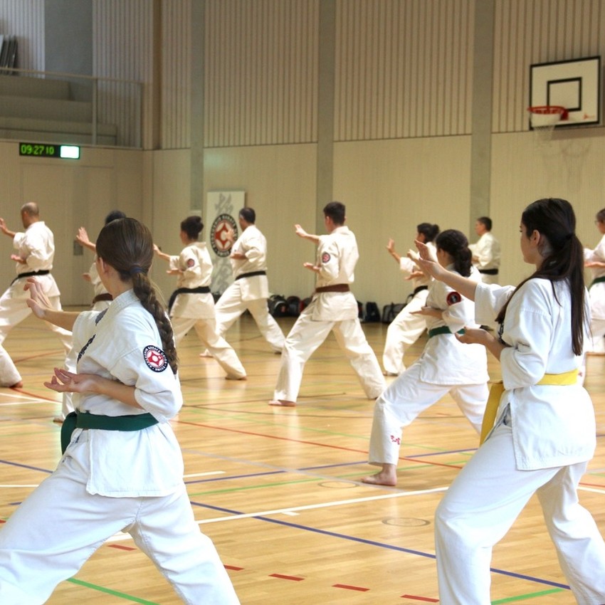 img_3995-8bff3dca9147b1376f74bc1ac89abd11