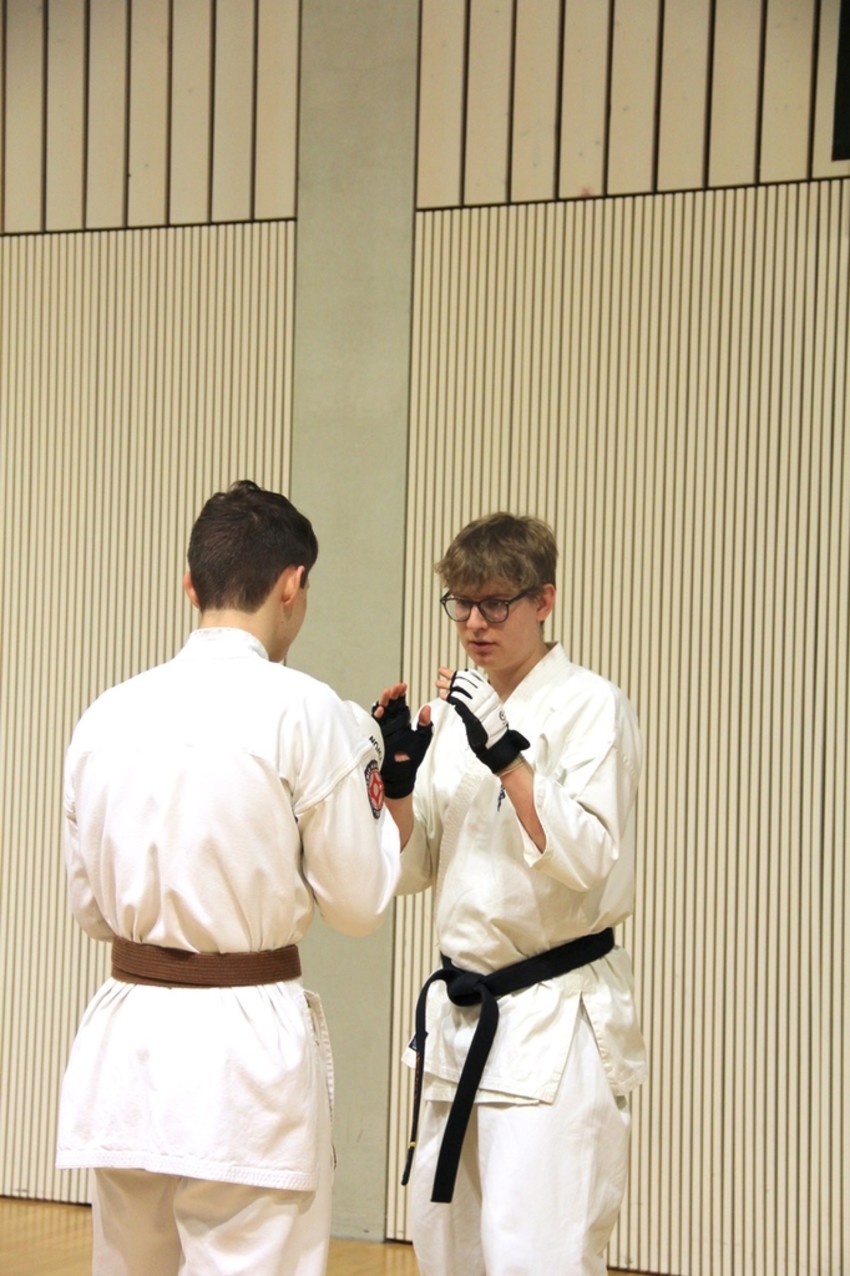 img_4014-2d6c58325b4aa5fd84dd47a848af82a4