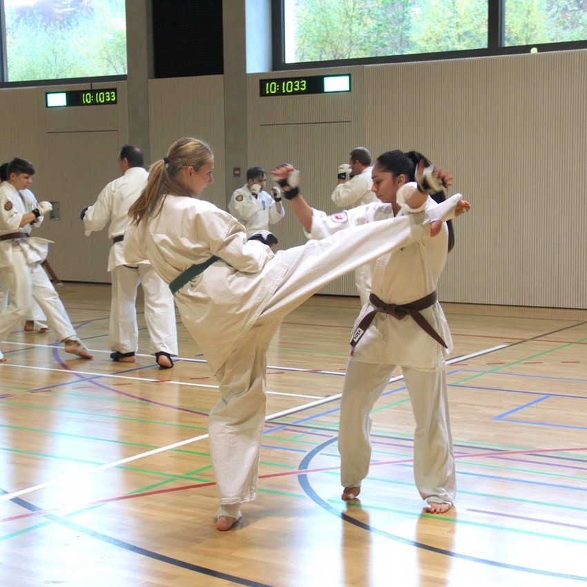 img_4038-57df65c6bbbbc2f6c720a4721635b895