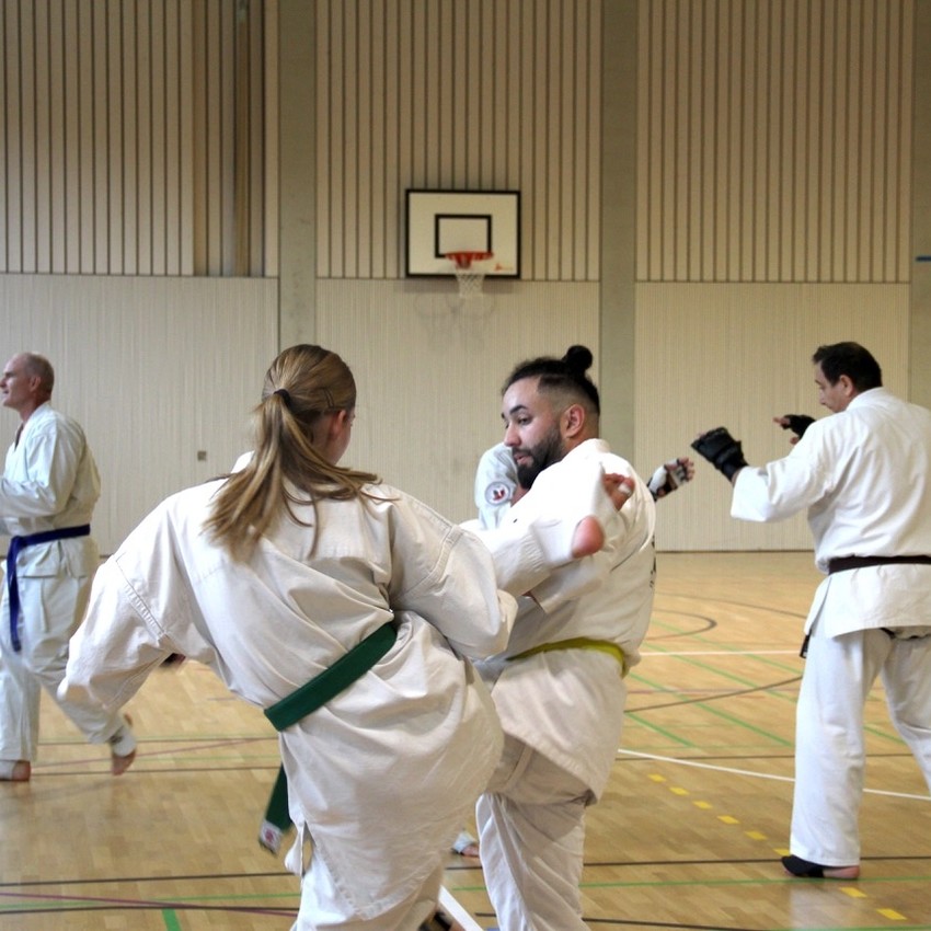 img_4056-b863e281737a9cb7c93a8756de768855