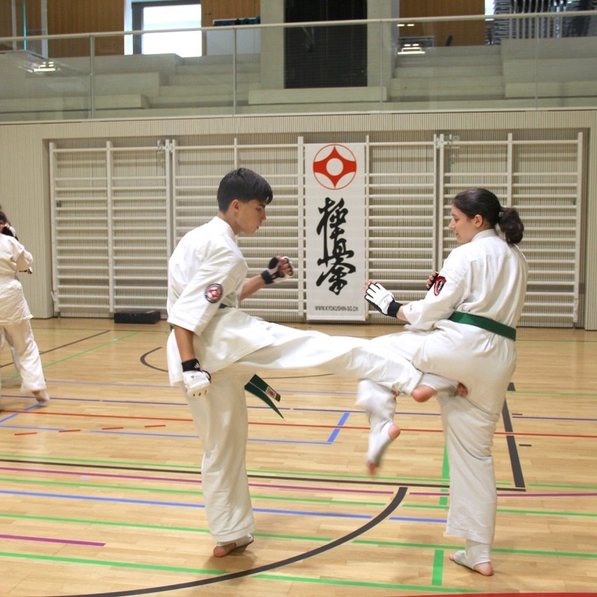 img_4081-e5b7dd53ae3e7586551e2b82cfbb34dc