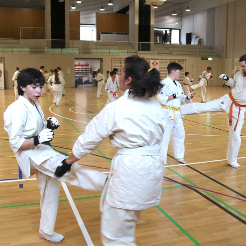 img_4096-daf79ae8be5a50c8ee997b6a69cdbb66