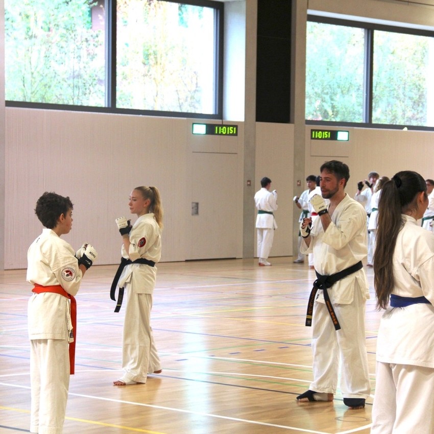 img_4098-2f290143acedbe359fff8ceec42a8a72