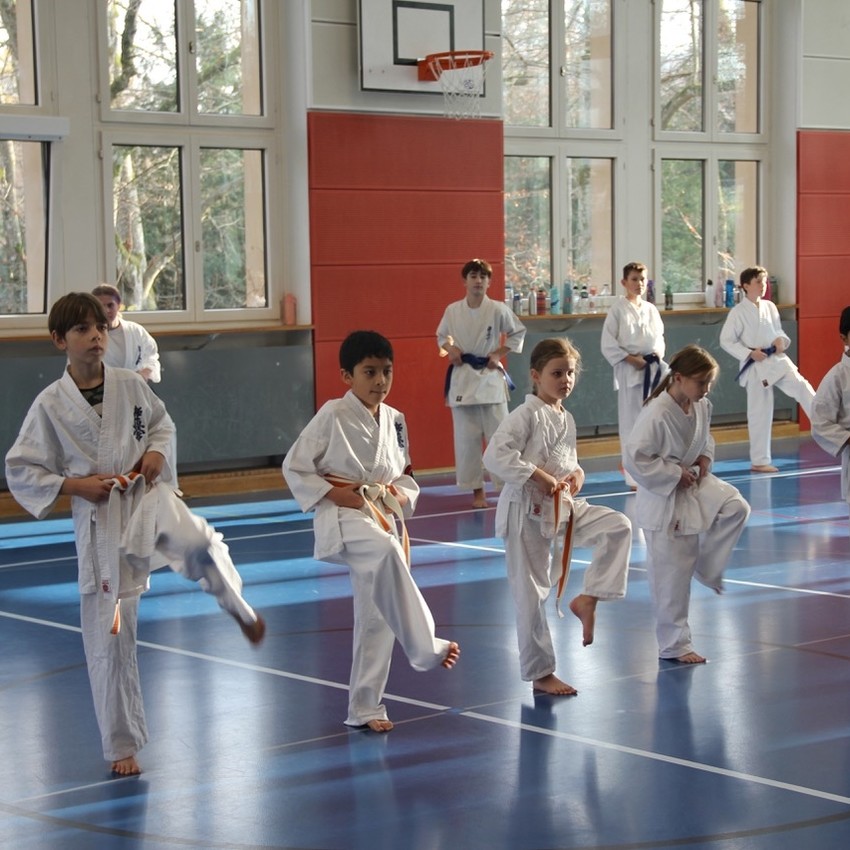 img_4235-f82c3283f298f34f32d172a6800f75e9