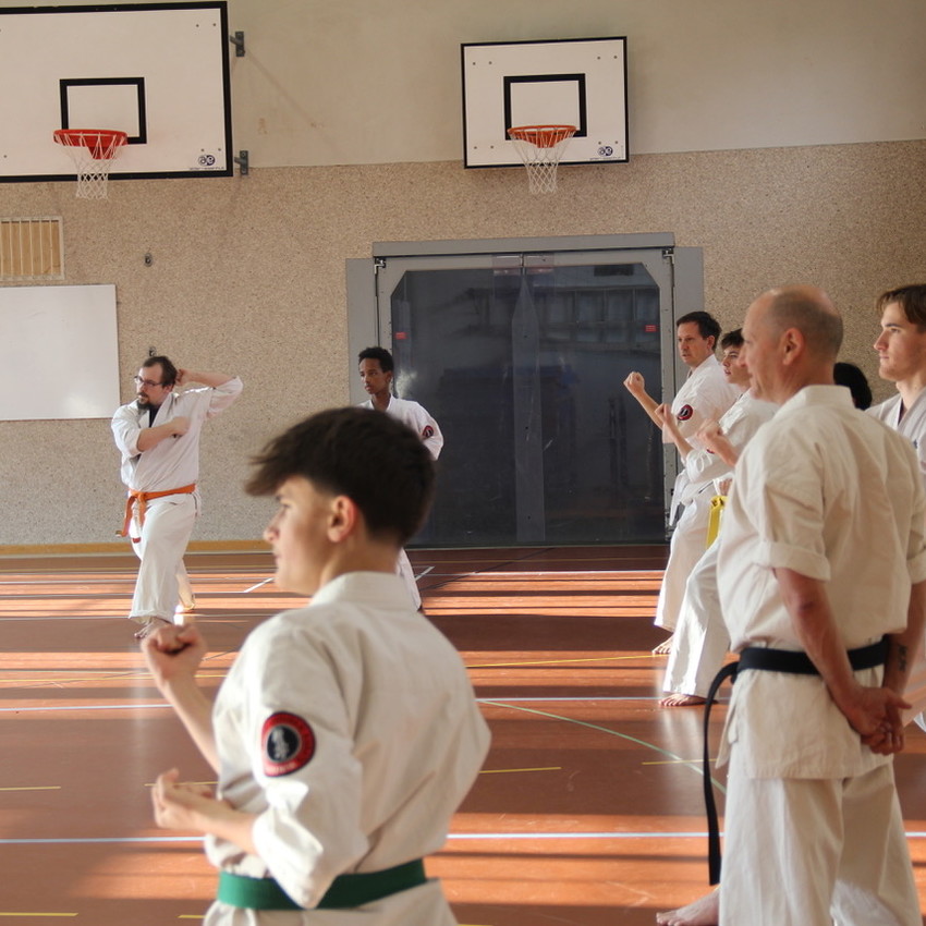 img_4240-81eb20bb37e14ba9062fda0698fa5fa5