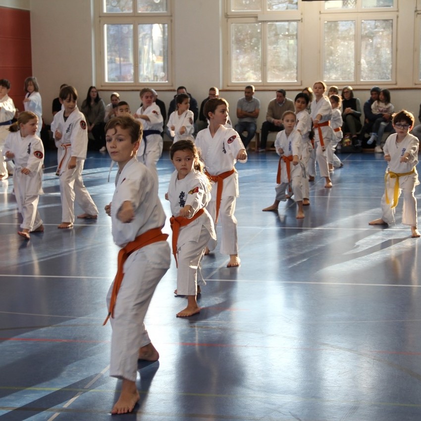 img_4365-4c55d409ee2869b2cb9c28ad4f8f1952