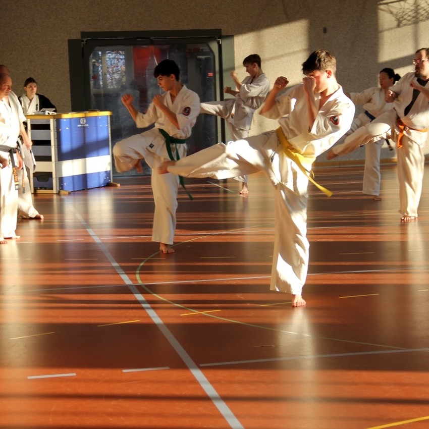 img_4441-016af4567a754676bfb892adfdf4816e