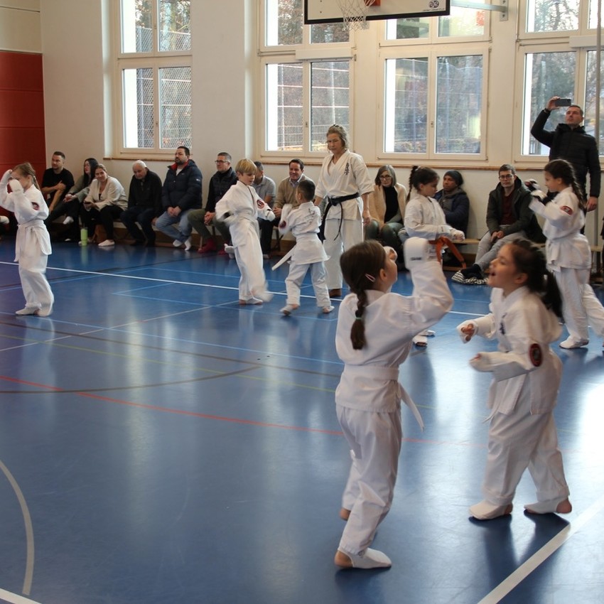 img_4446-efd45f8feed2611f93e9b67c1e3fc488