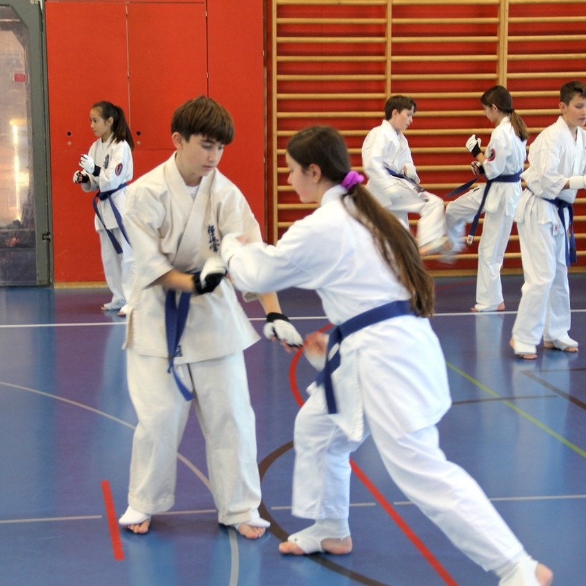 img_4463-cc77b0a92319de55c200780f359a618a