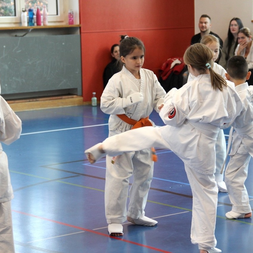 img_4470-0208f50f6092e9a9aa7096d0e0b734a1