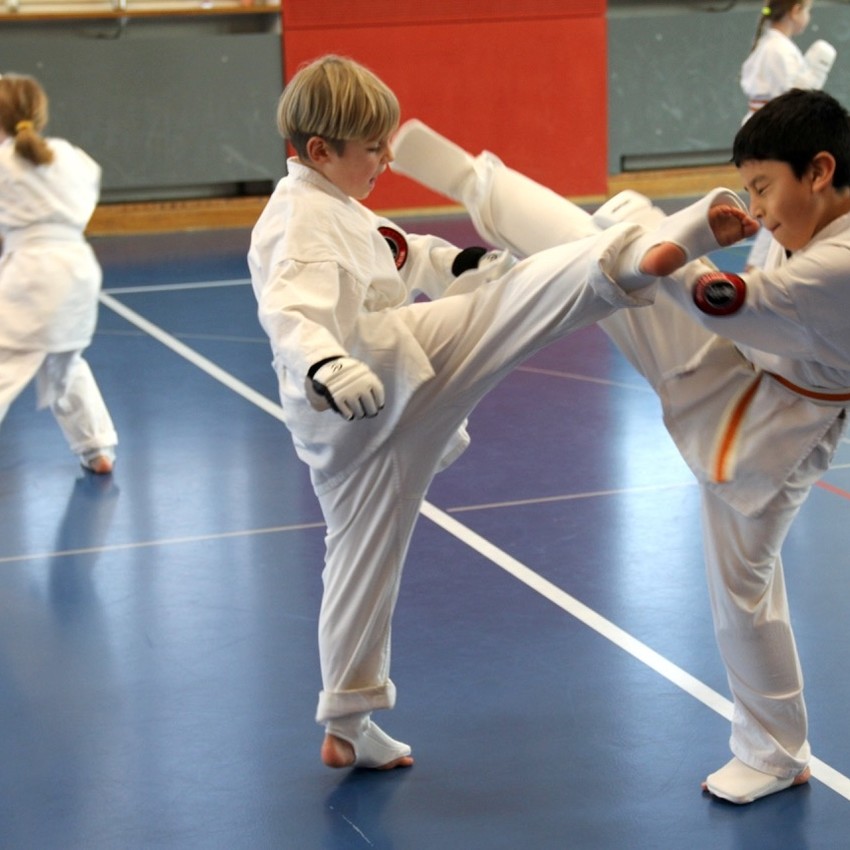 img_4487-3db88e87e35d8127f8f948e43fd0ce57