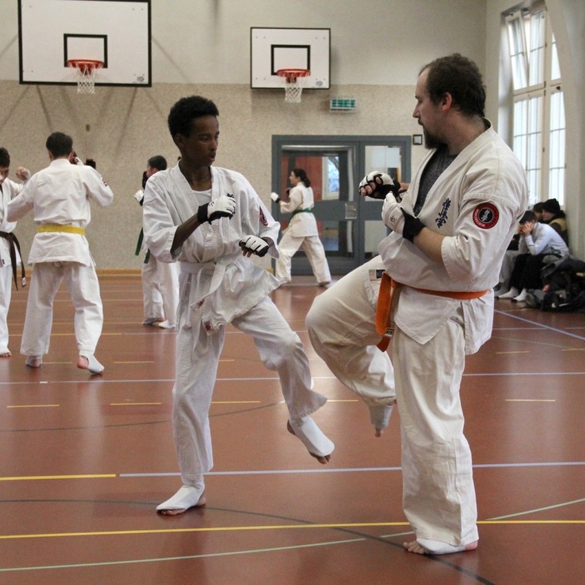 img_4608-313d745e6489490a743d8e0f761d3532