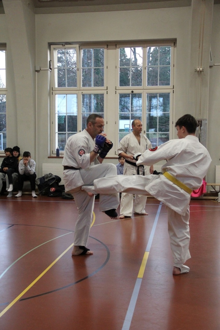 img_4616-41c91294d22a0fe0ae615bb2391a8fed