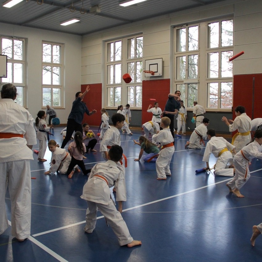 img_4659-6336e600fdbd32dd698e9cea2439e8e4