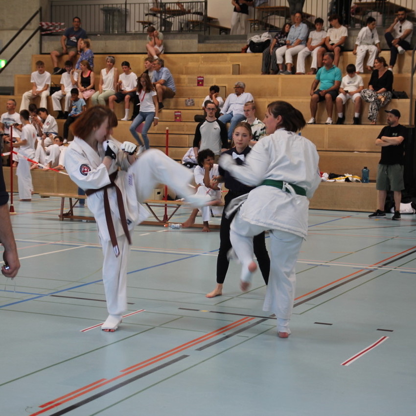 img_4784-3bdbb1e0e5c7c9d66ed47424855922bb