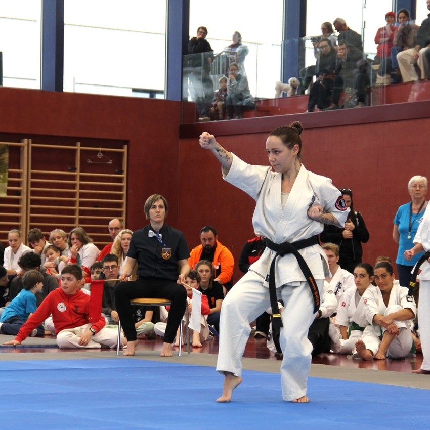 img_5413-40032560884fd4cf691af9ea9973ee95