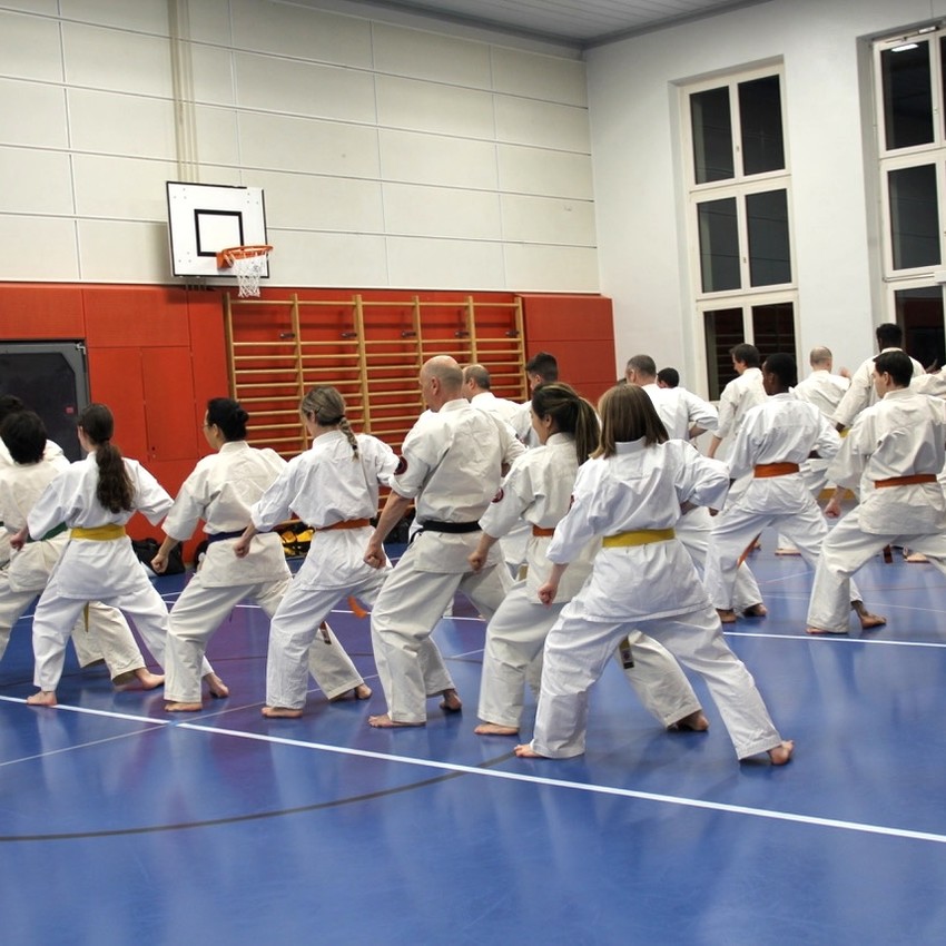 img_5786-49dd673f219ecac596ddb2a657f793a9