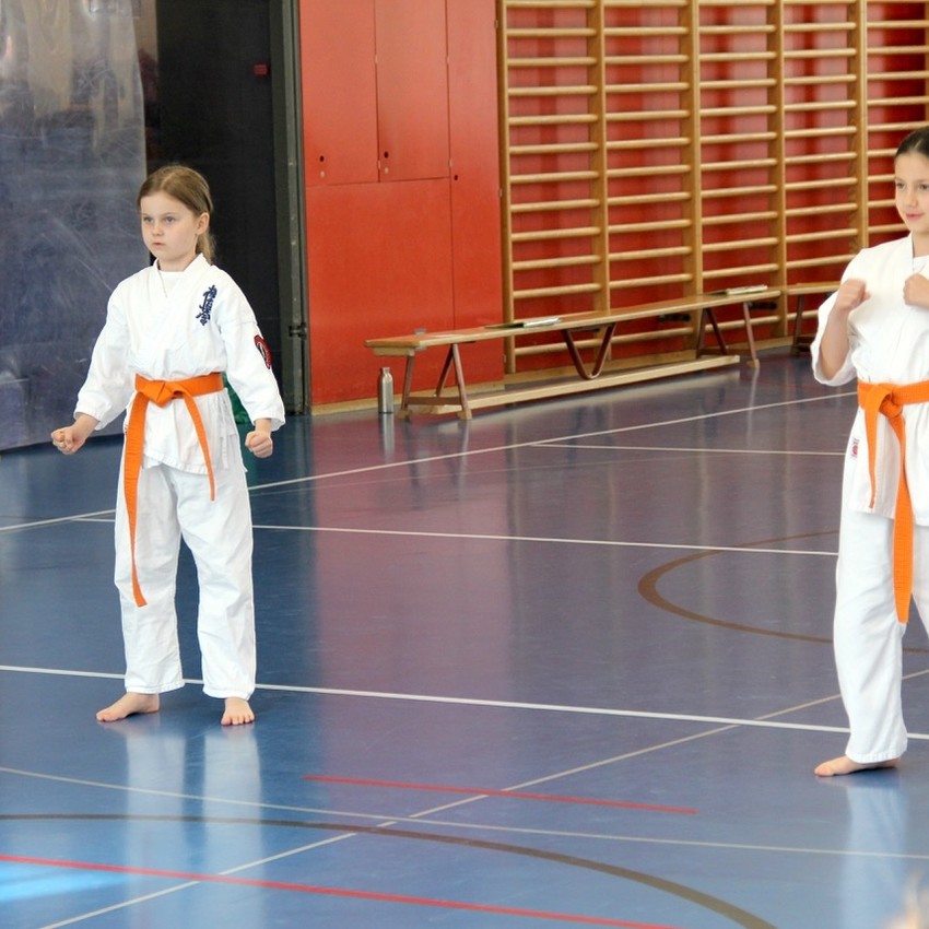 img_6017-e886eb4fc3a584264c0b94f1085c1be0