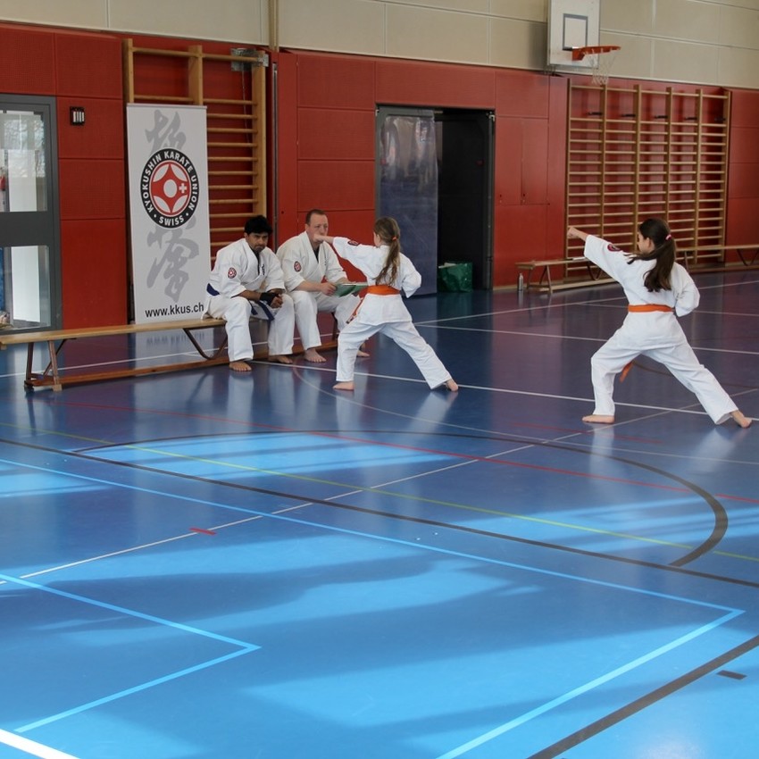 img_6018-45852a1eb9c2632c62deb087bc4c840c