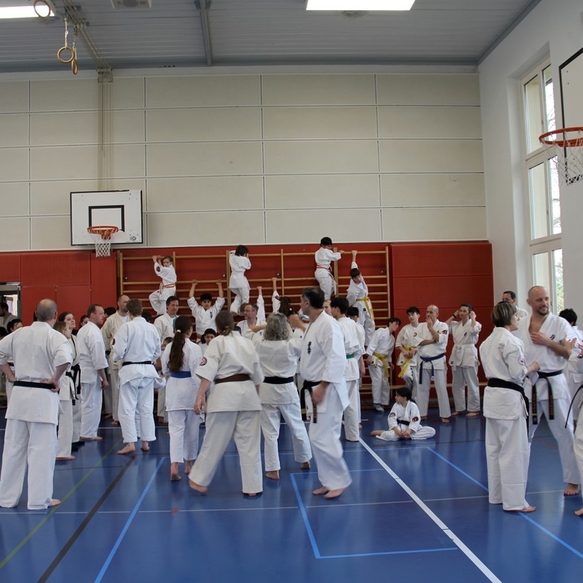 img_6038-b8e2703baf7897b5118143b4fc2b6a78