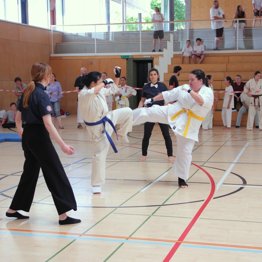 img_6079-9f2b2b5ac2ed14e958cc6378c1fd6dc3