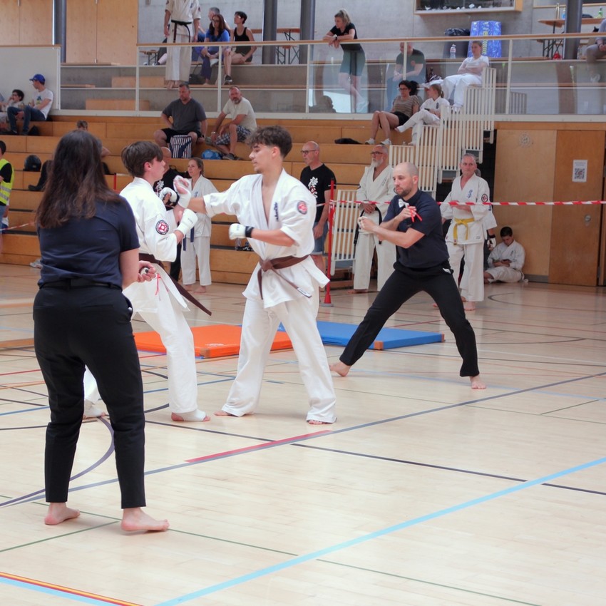 img_6081-ac63de17e2d936c7afa32ed16b27f759