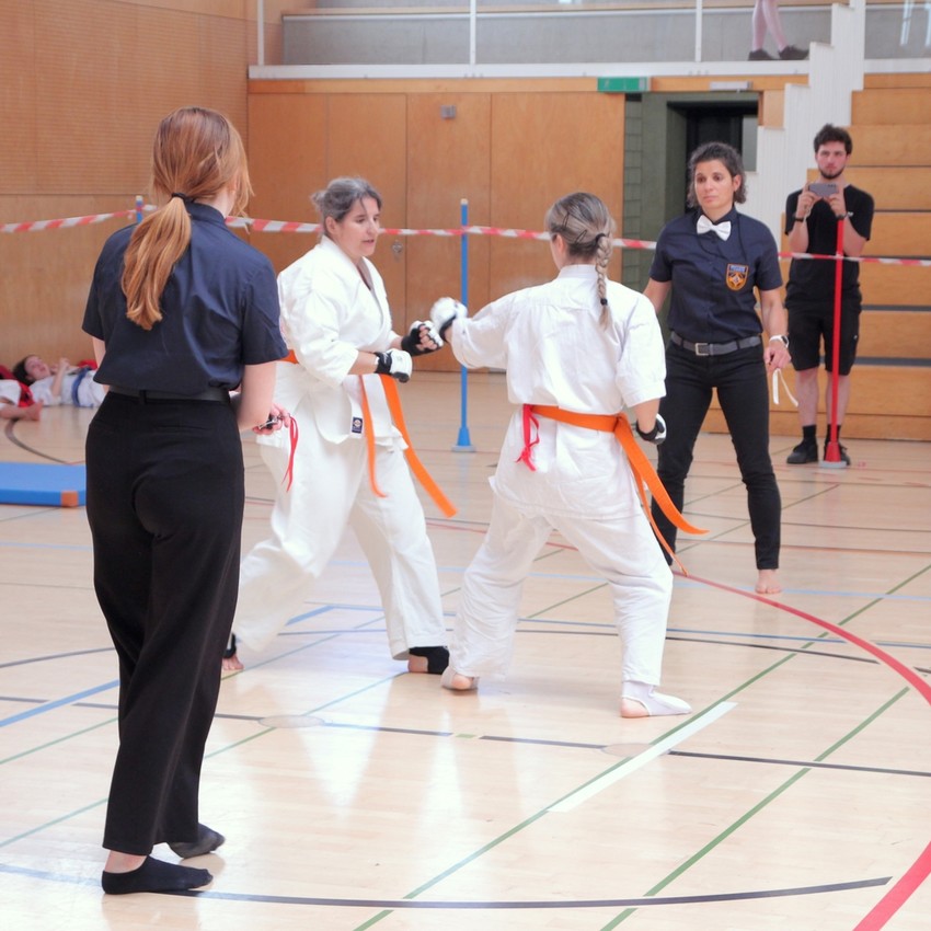 img_6082-31fe17665f87e6e10c9f21a5313b940d