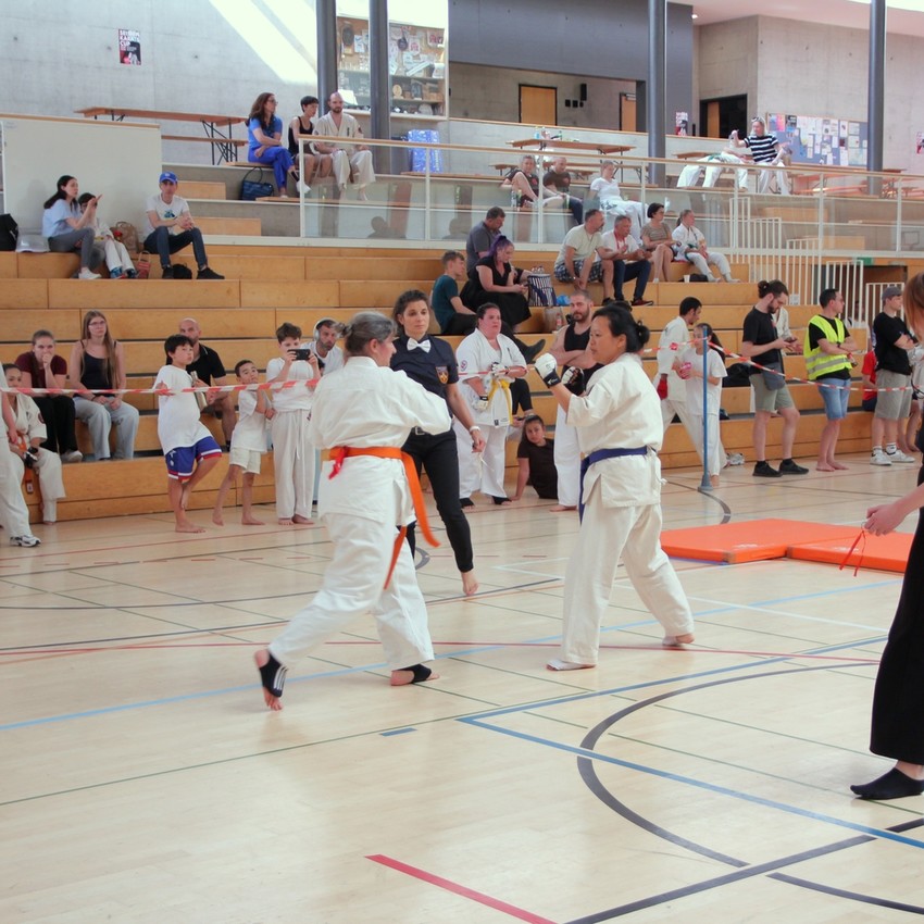 img_6084-91fe70cb16930339fb7bac70872b360e