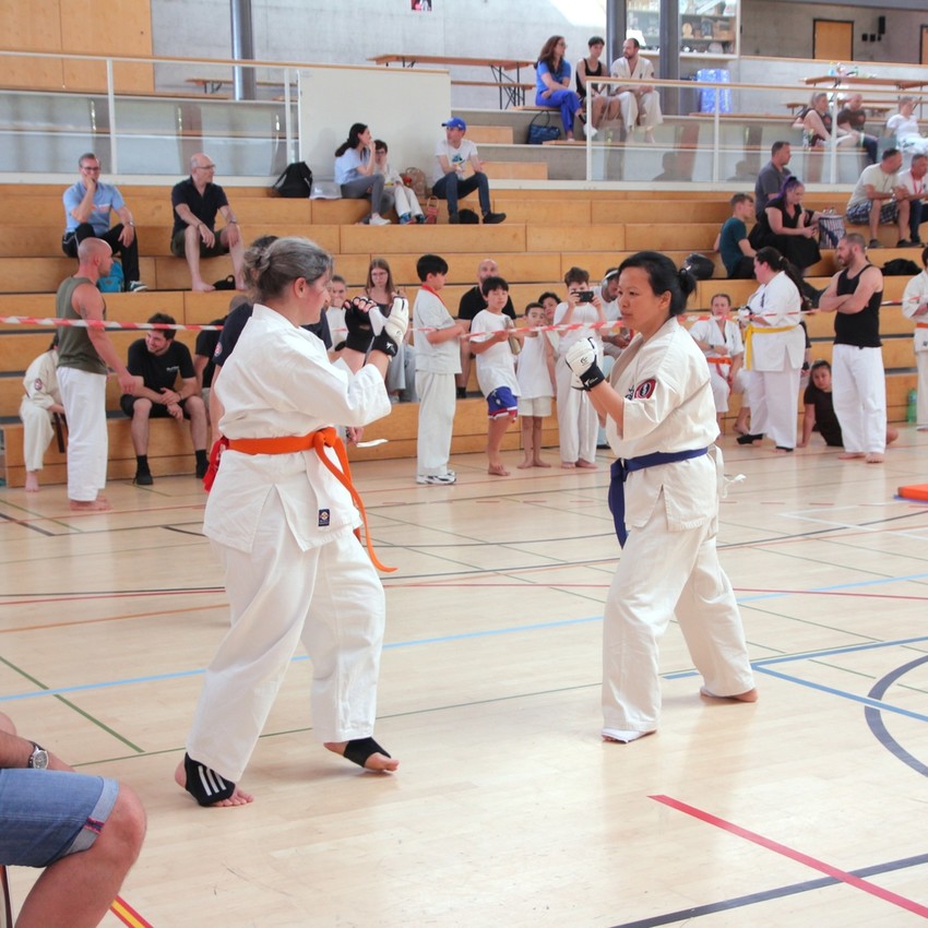 img_6085-6ccee7816e7f4748986d9a421c90ef5e