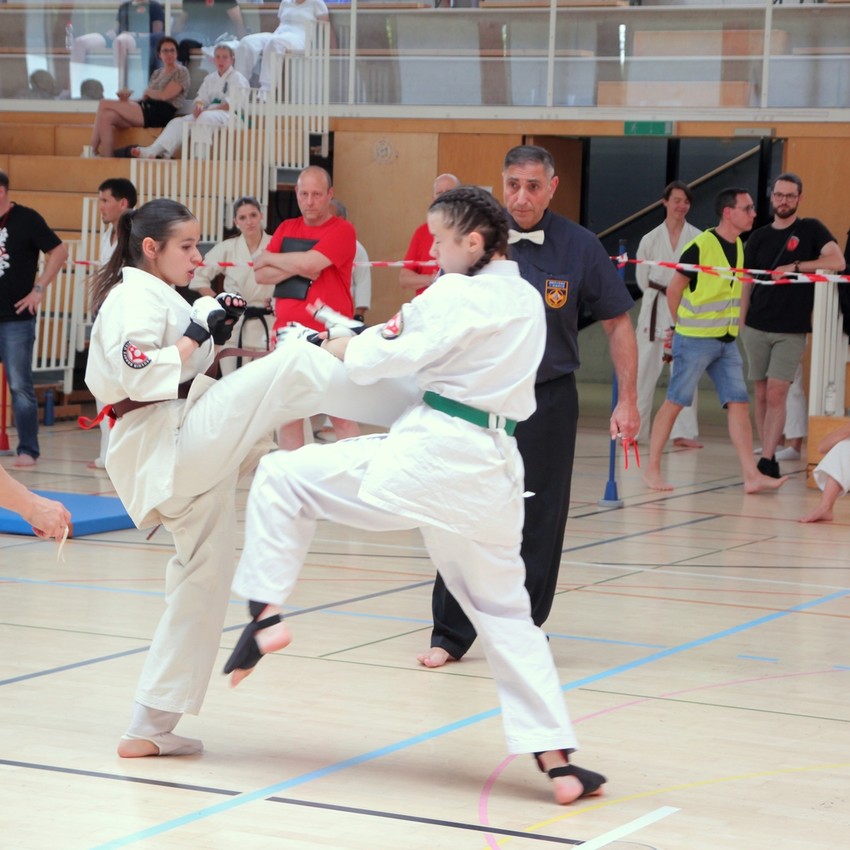 img_6091-8d484441911a6eec3fd9530f6789575c
