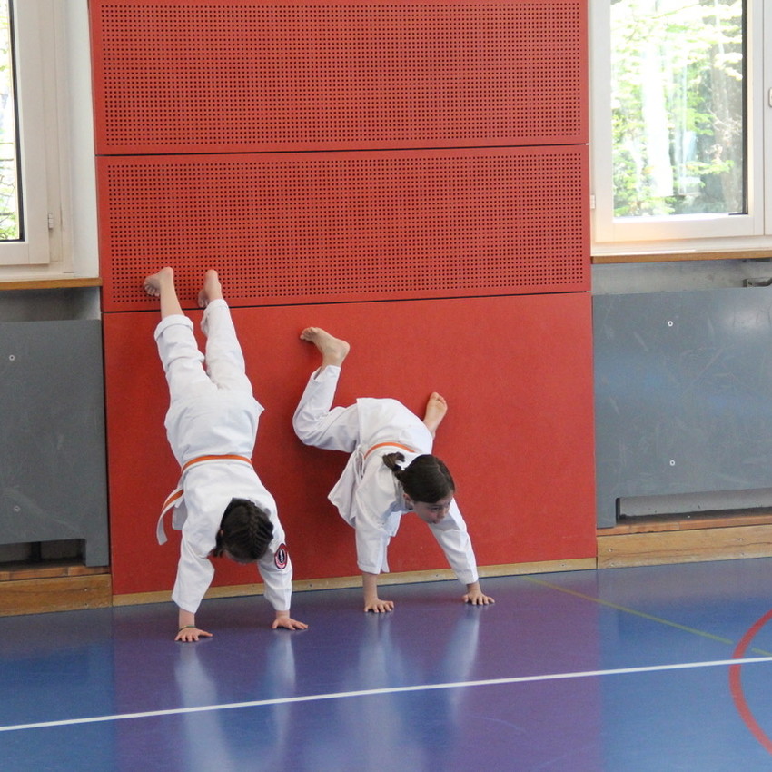 img_6141-a74db42e2a7de39be62470c5a83c1009