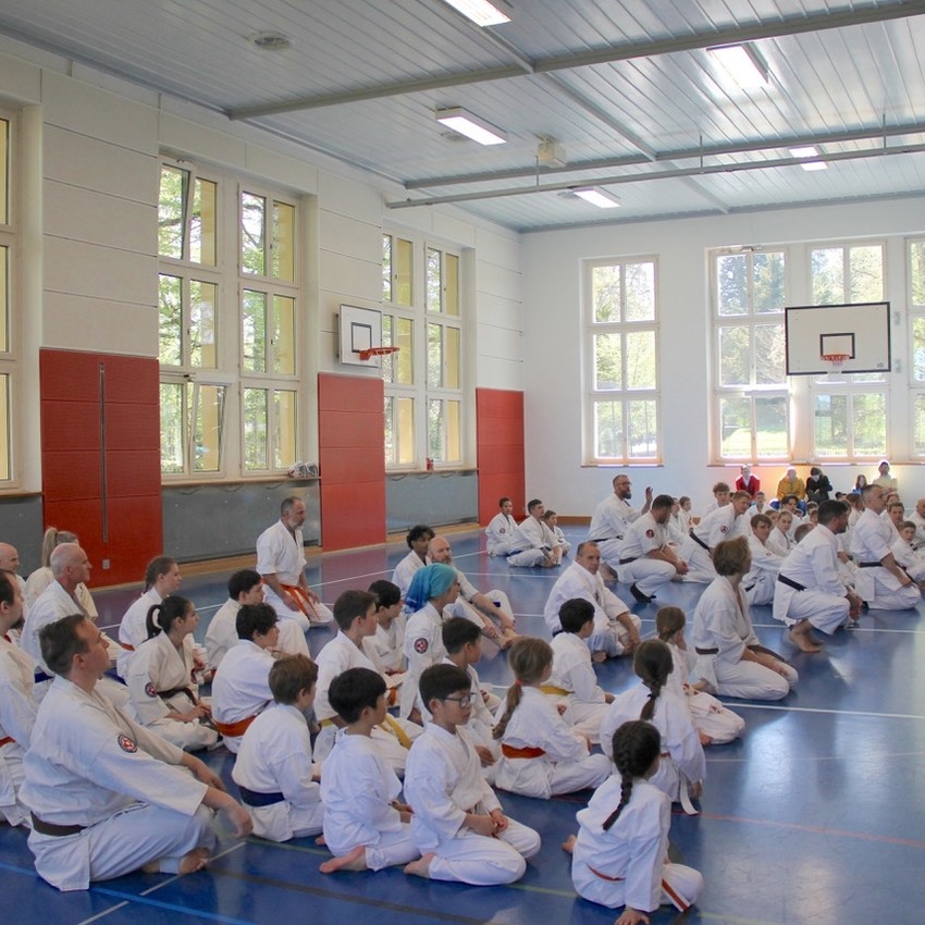 img_6150-f2b477a4e6a320eecd4fed332822ecba