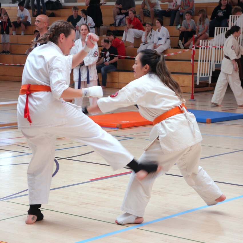 img_6155-9b5d218380ef9452212923af3bdc6886