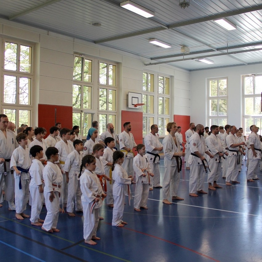 img_6168-c8bc0876db44ab61fed65ead990b8e81