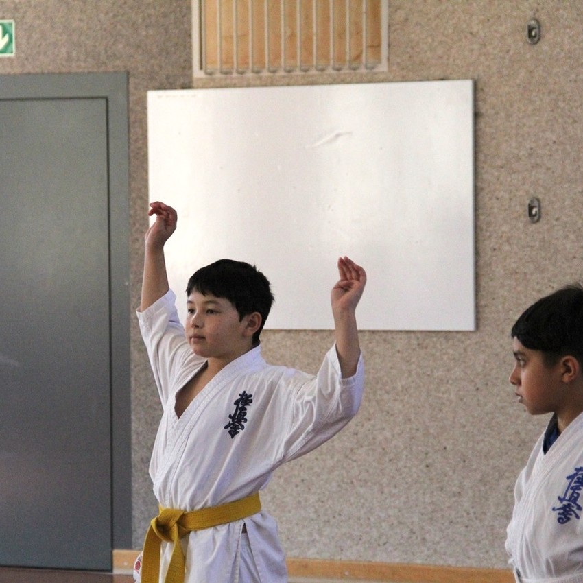 img_6191-ce2efe3fe013a4cee9b9ac8bbb6c3f11