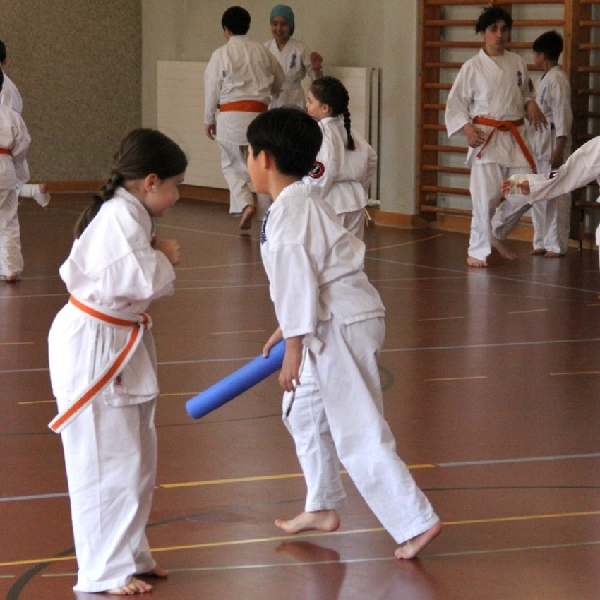 img_6199-931ffa37a617b62c66b226aa83cd5a81