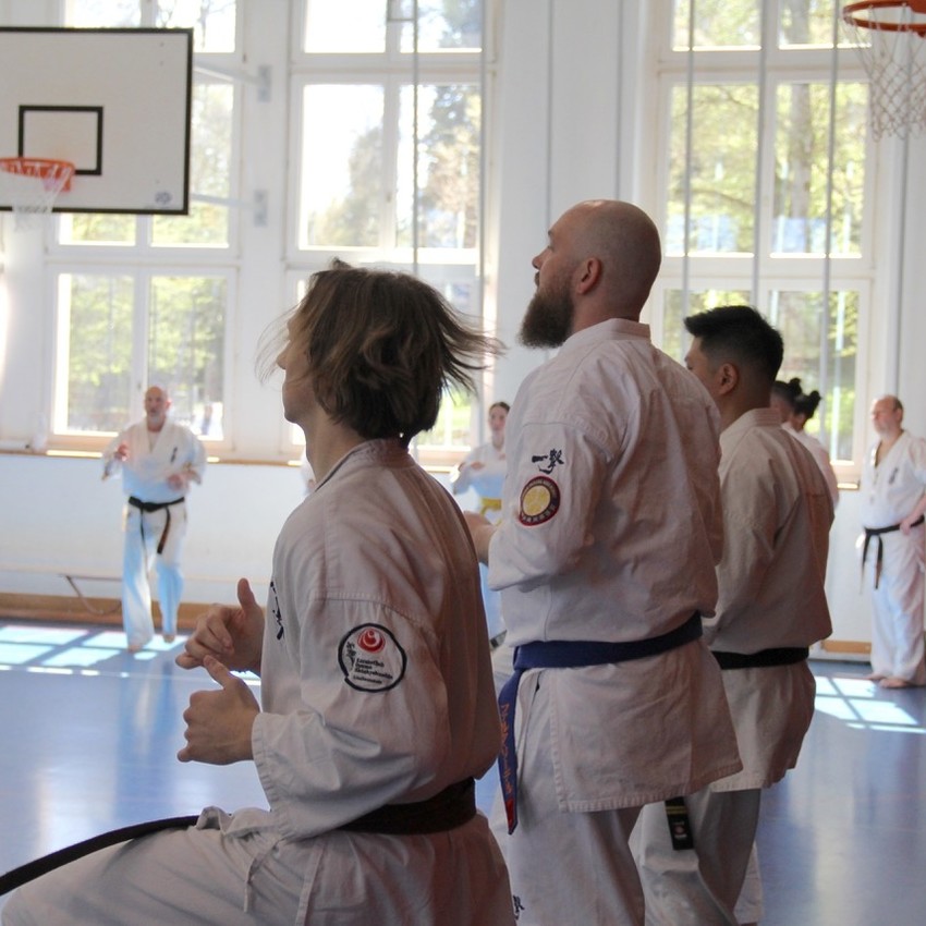 img_6205-25c1ca3feb39c3cad6990538aad0b3bd