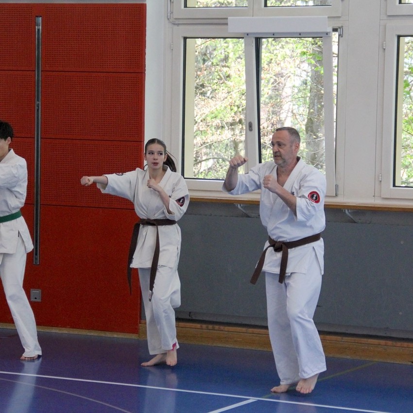 img_6206-f44cf988915fd1effd7b4c907070a20d