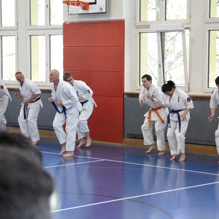 img_6210-8da49747b959d5249e22ffb56ff35acd