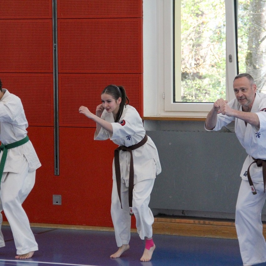 img_6211-1052ac41e4253b8a7fa260af2ed377f5