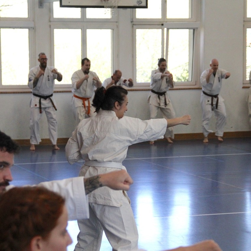 img_6212-1e3adb75807315e8a1d4151aee2b9339