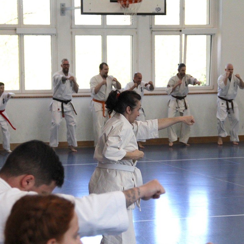 img_6213-beb13791c6543c14345e7995f4be062d