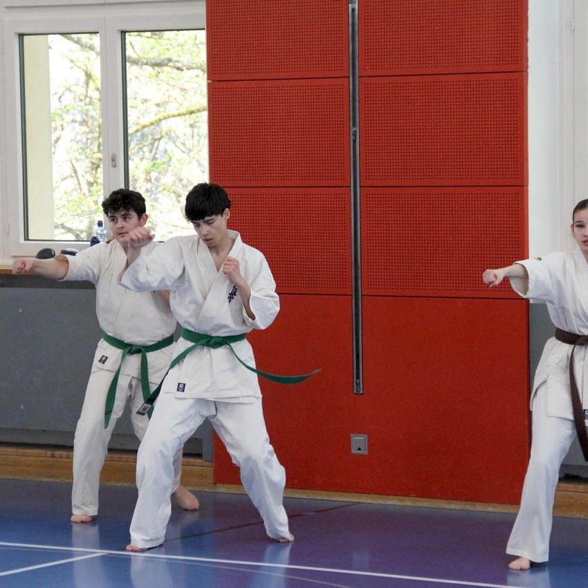 img_6216-1240017d22b3fc687e97a95358ea2b25