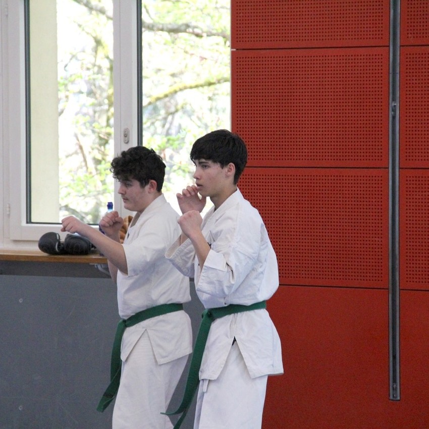 img_6219-5a0fbee60811a1acfd6bf68d8c9357d8